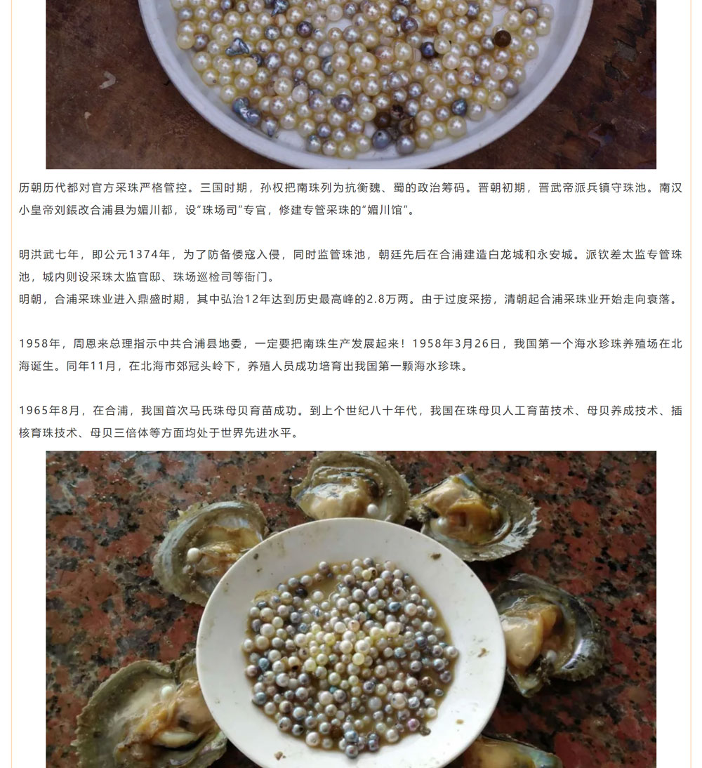 古老南珠，綻放異彩