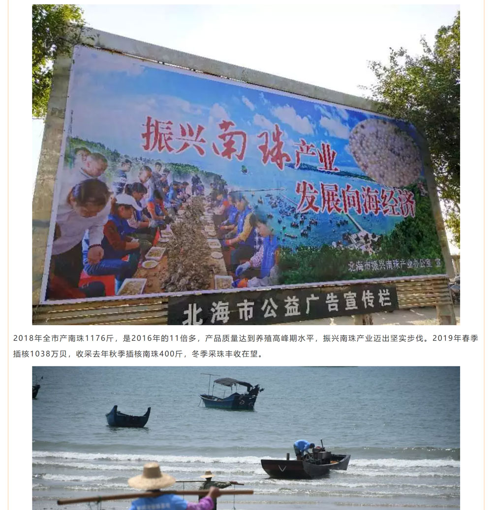 古老南珠，綻放異彩